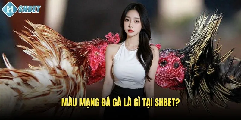 Màu mạng đá gà là gì tại Shbet?